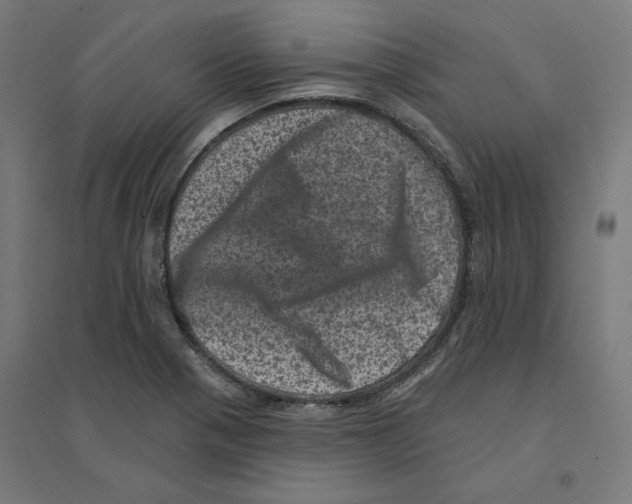 X0000094441321200712061128