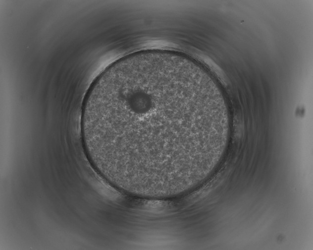 X0000094441322200712061128