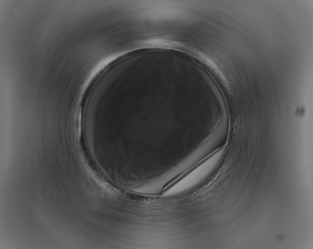 X0000094441323200712061128