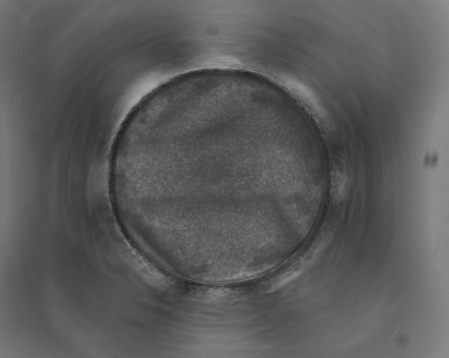 X0000094441326200712061128