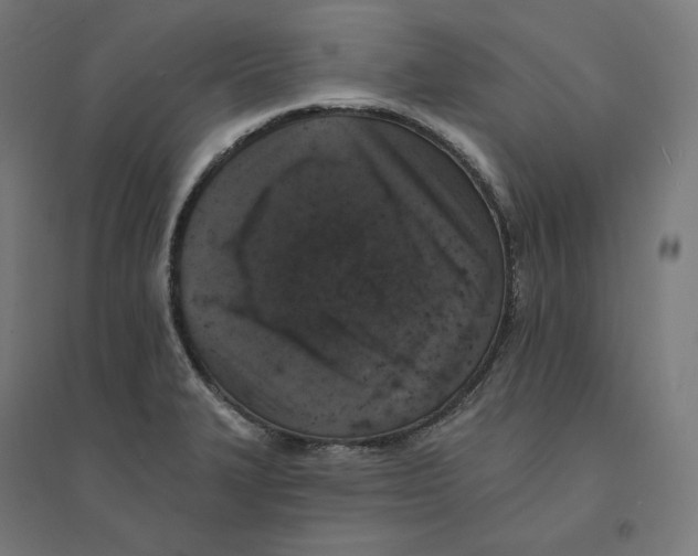 X0000094441327200712061128