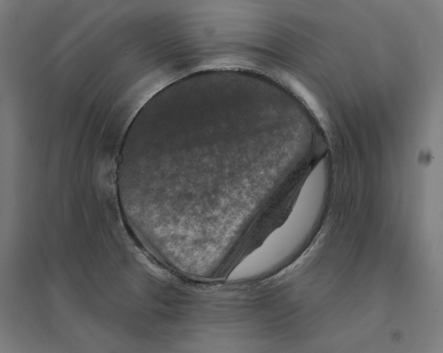 X0000094441329200712061128