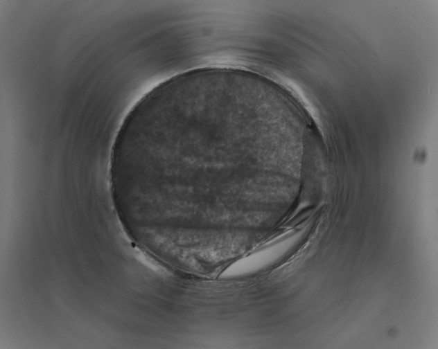 X0000094441331200712061128