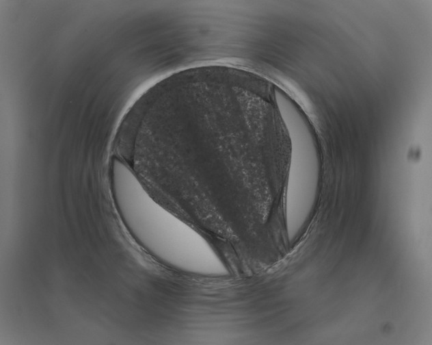 X0000094441332200712061128