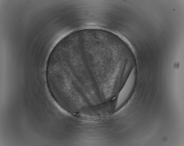 X0000094441333200712061128