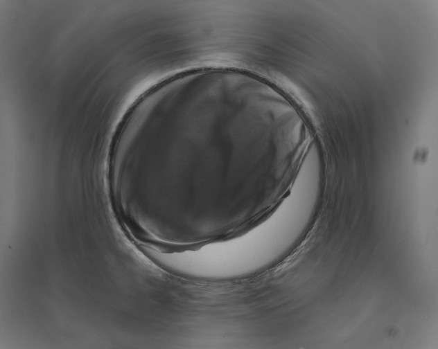 X0000094441334200712061128