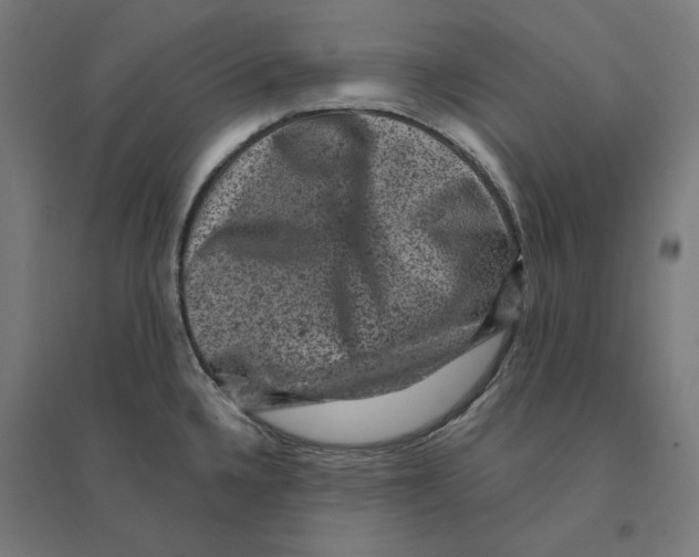 X0000094441336200712061128