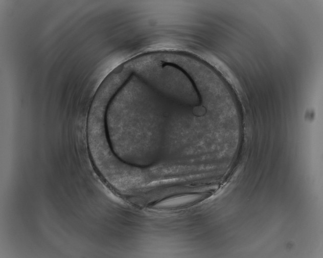 X0000094441337200712061128