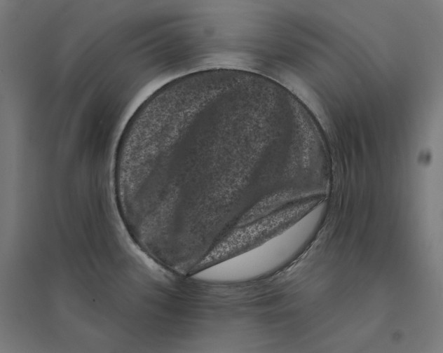 X0000094441339200712061128