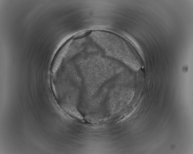 X0000094441340200712061128