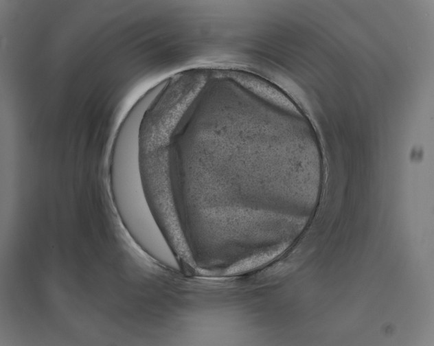 X0000094441344200712061128