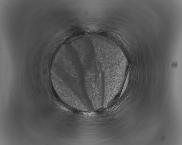 X0000094441345200712061127