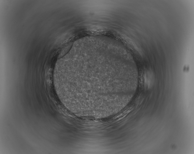 X0000094441346200712061127