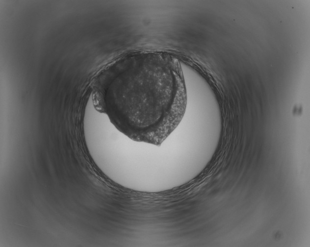 X0000094441348200712061127