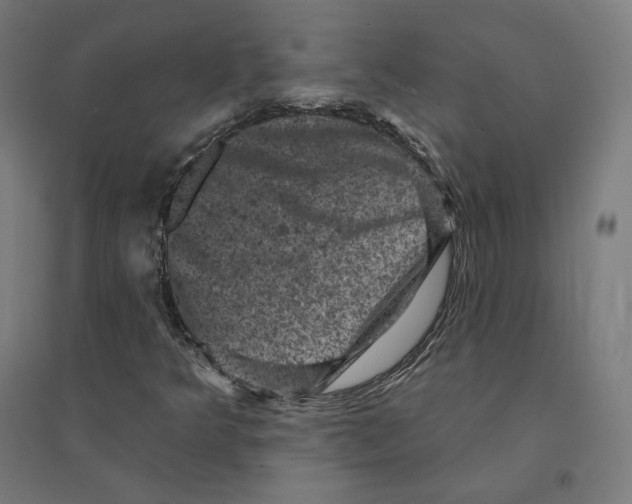 X0000094441349200712061127