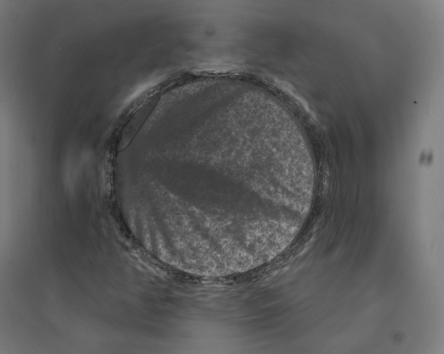 X0000094441350200712061127