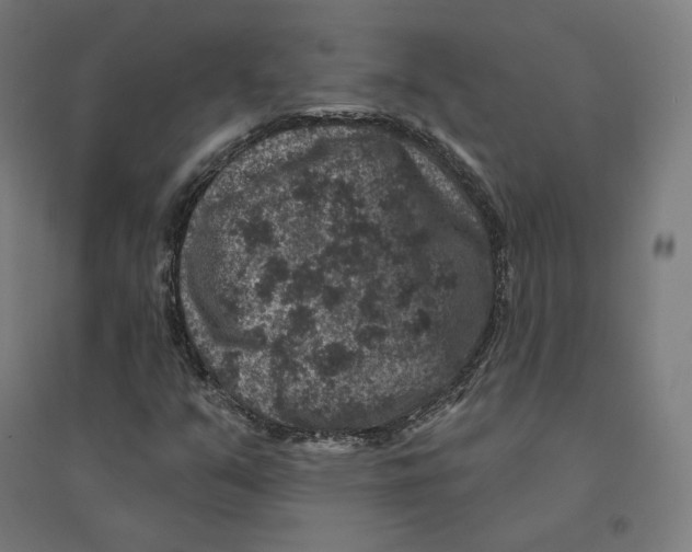 X0000094441351200712061127