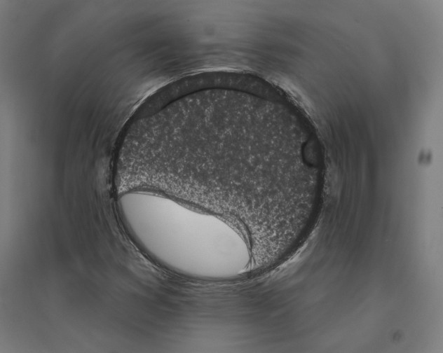 X0000094441353200712061127