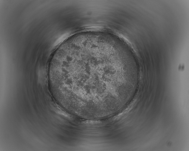 X0000094441354200712061127