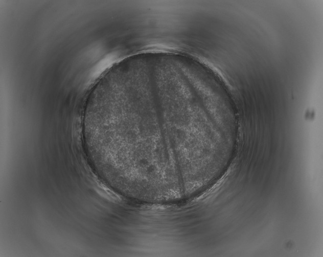 X0000094441355200712061127