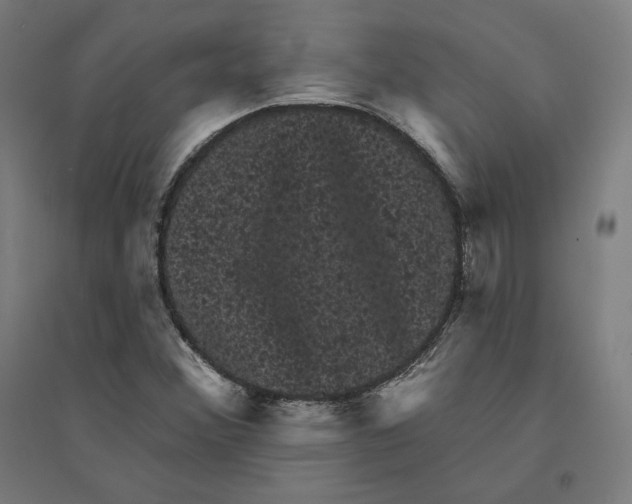 X0000094441356200712061127