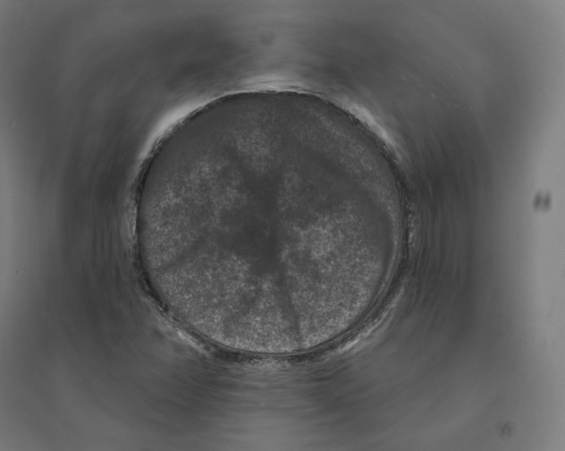 X0000094441358200712061127