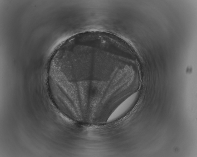 X0000094441359200712061127