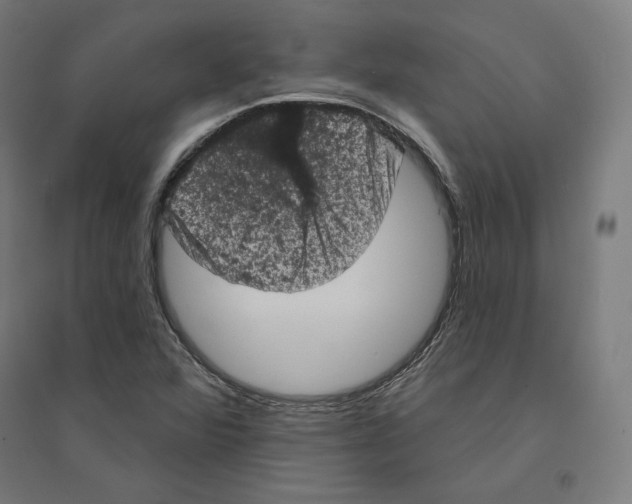 X0000094441360200712061127