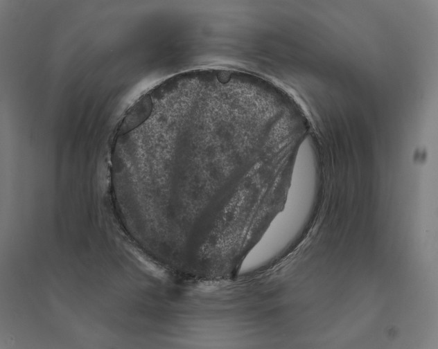 X0000094441363200712061127