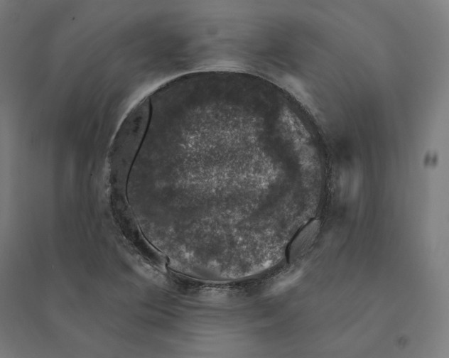 X0000094441364200712061127