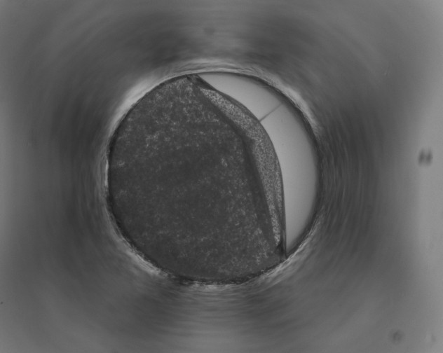 X0000094441365200712061127