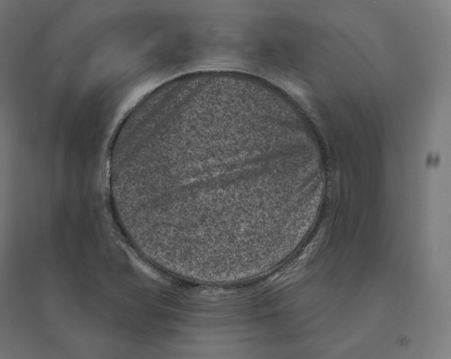 X0000094441366200712061127