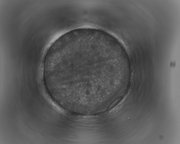 X0000094441367200712061127