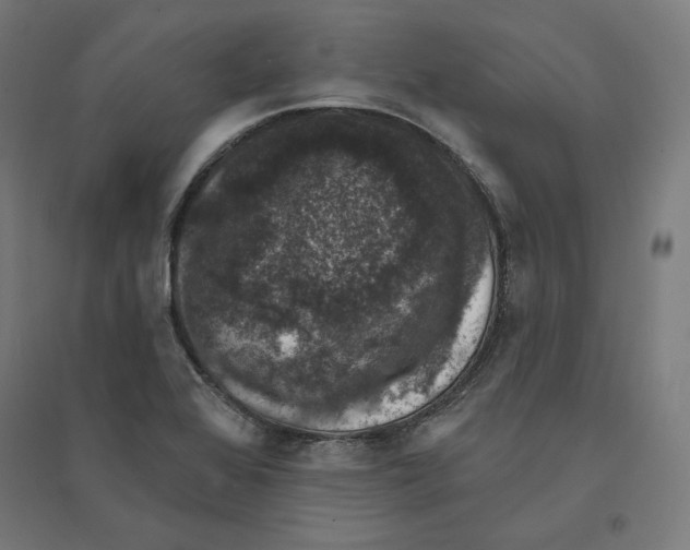 X0000094441368200712061127