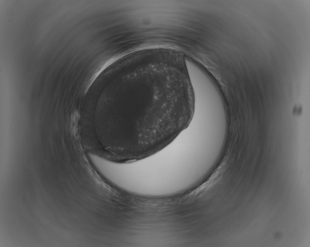 X0000094441369200712061127