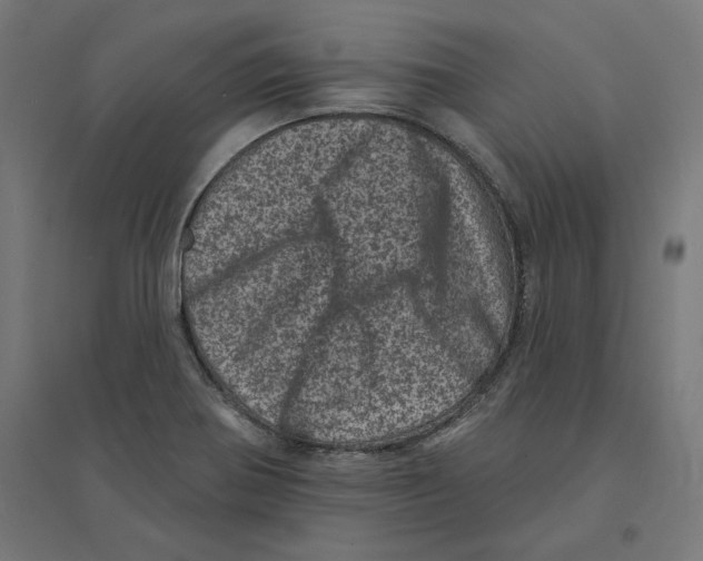 X0000094441370200712061127