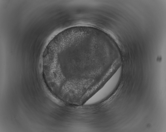 X0000094441371200712061127