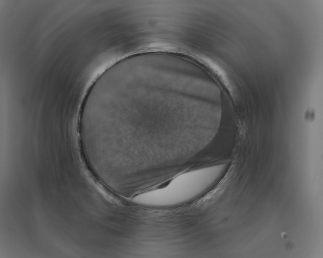 X0000094441373200712061127