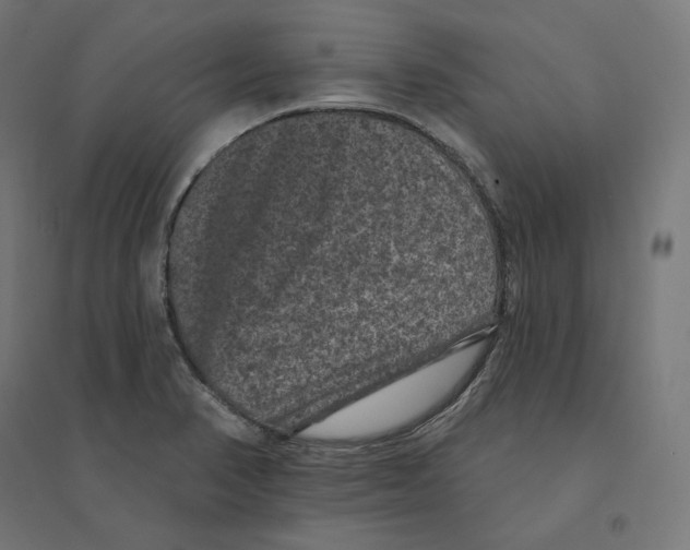 X0000094441374200712061127