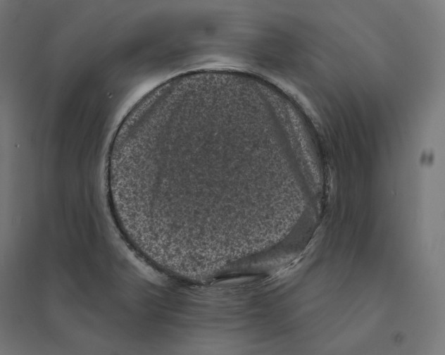 X0000094441375200712061127