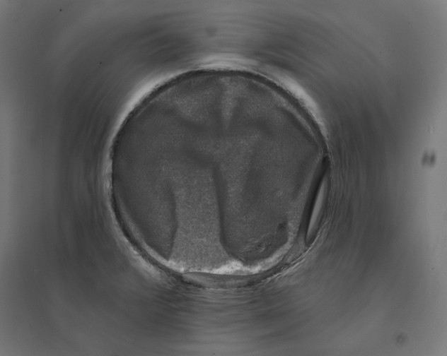 X0000094441376200712061127