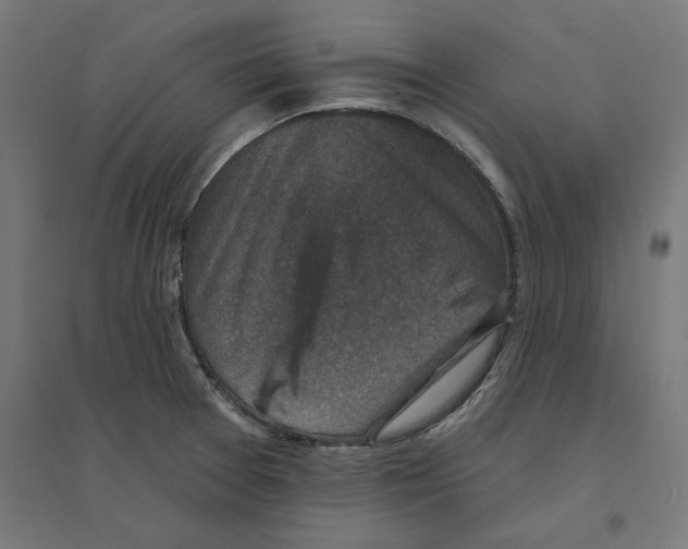 X0000094441377200712061127