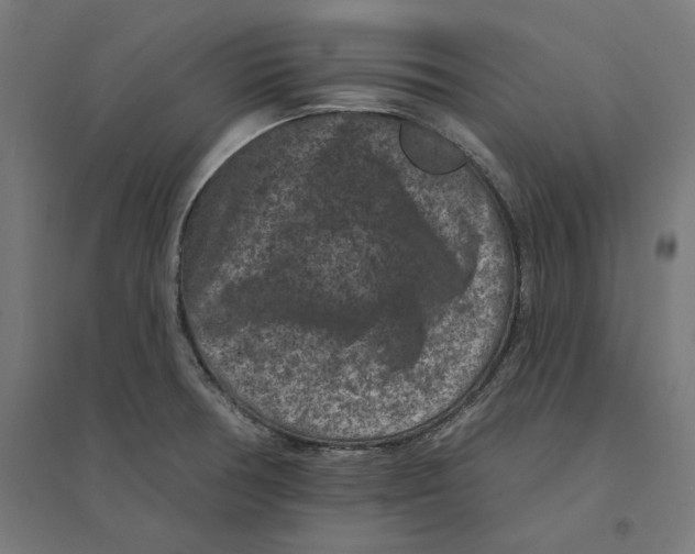 X0000094441378200712061127