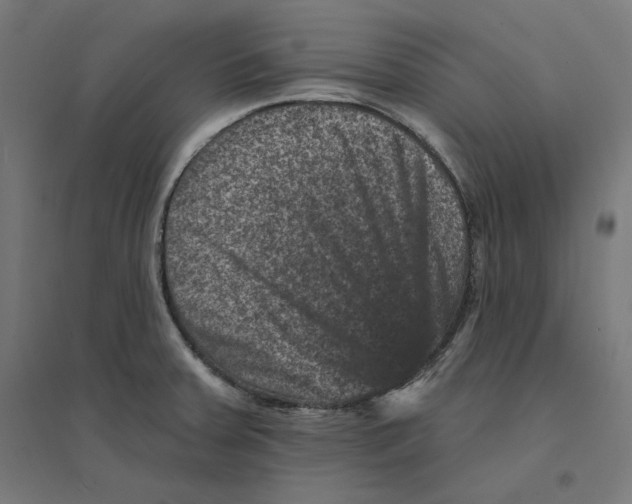 X0000094441379200712061127