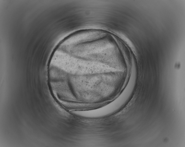 X0000094441380200712061127