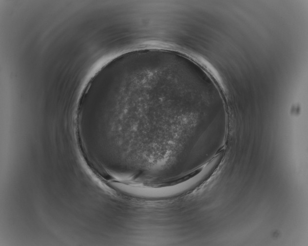 X0000094441381200712061127