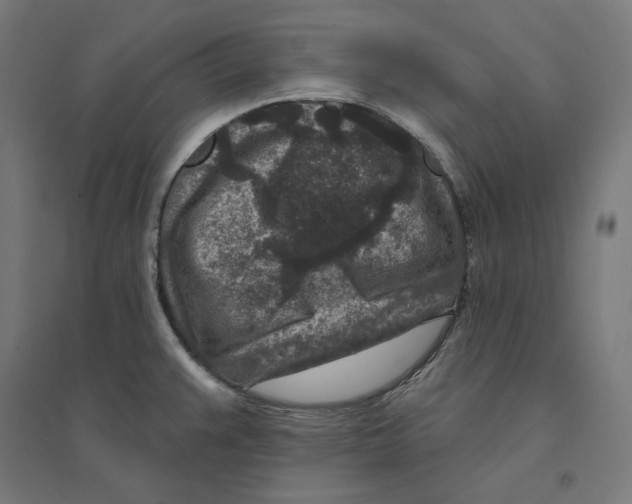 X0000094441383200712061127