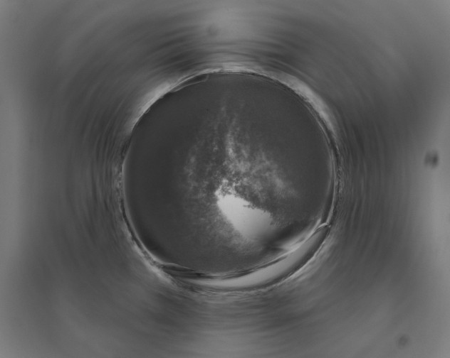 X0000094441385200712061127