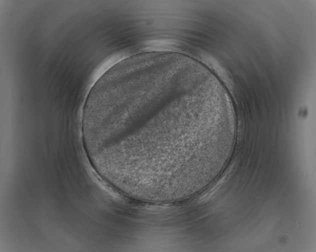 X0000094441386200712061127