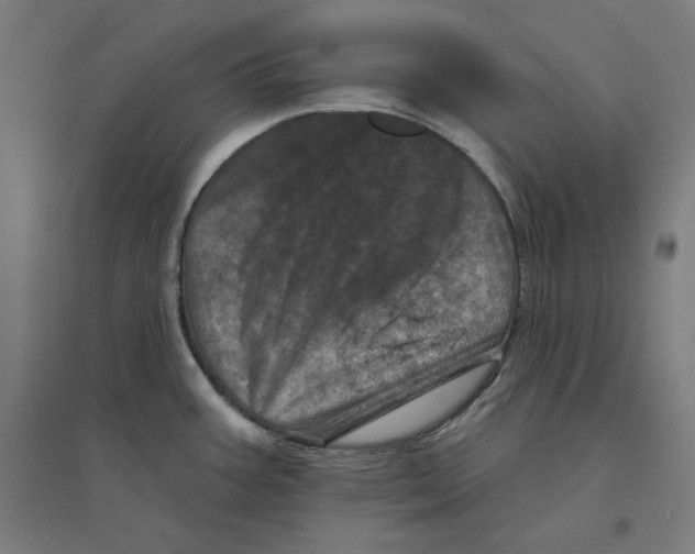 X0000094441387200712061127